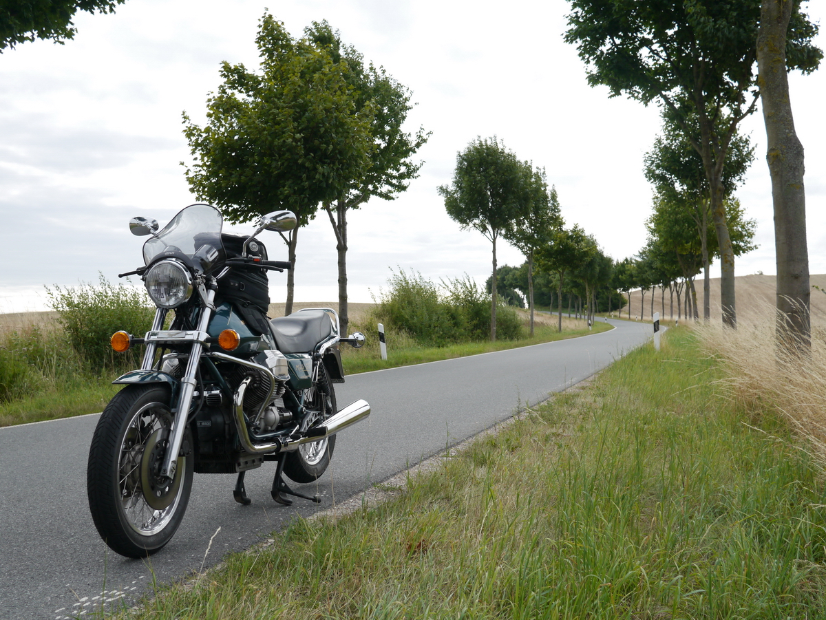 Allee im Lauenburgischen bei Mustin